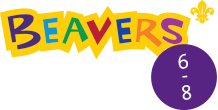 Beavers
